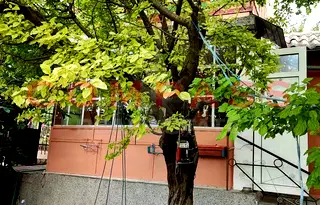 Къща във Варна, м-т Манастирски рид
