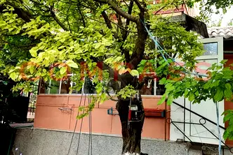 Къща във Варна, м-т Манастирски рид