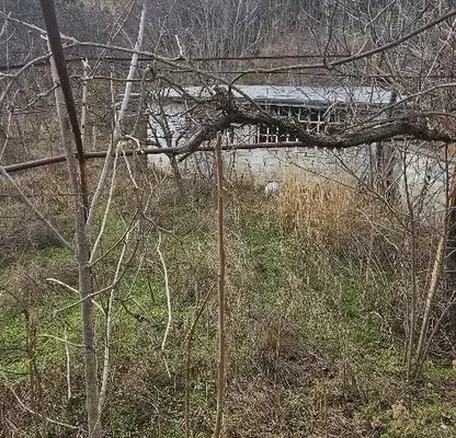 Photo 5 — House in Varna, Pchelina