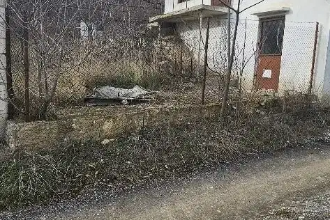 House in Varna, Pchelina