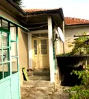 Къща в Шумен, Макак