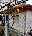 Къща в Хасково, Овчарски