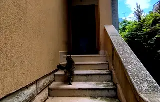 Къща във Враца, Подбалканска