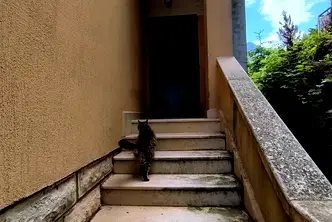 Къща във Враца, Подбалканска