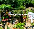 Снимка 2 — Къща в Русе, Промишлена зона - Изток