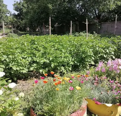 Photo 5 — House in Sliven, Rechica