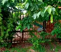 Снимка 5 — Къща в Русе, Родина 4