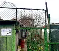 Снимка 2 — Къща в Русе, Родина 4
