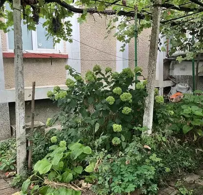 Photo 4 — House in Vraca, Samuil