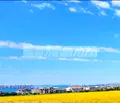 Снимка 4 — Къща в Бургас, Сарафово