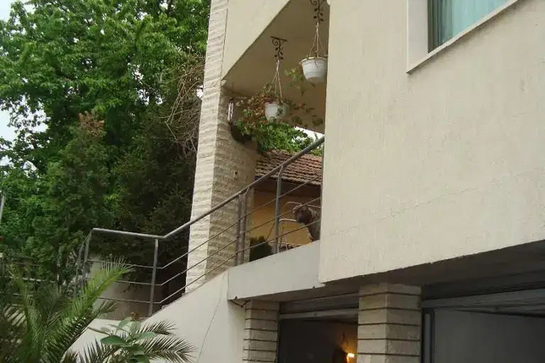 House in Pleven, Shirok Centyr