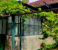 Снимка 4 — Къща в Монтана, Широк център