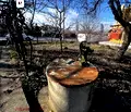 Снимка 3 — Къща в София, Симеоново