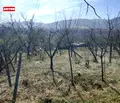 Снимка 4 — Къща в Търговище, Вилна зона