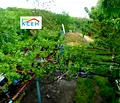 Снимка 4 — Къща в Търговище, Вилна зона