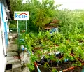 Снимка 5 — Къща в Търговище, Вилна зона
