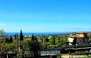 Къща във Варна, Виница