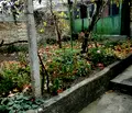 Снимка 5 — Къща в Шумен, Военно училище