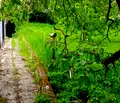 Снимка 4 — Къща в Кюстендил, Върташево