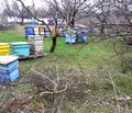 Снимка 5 — Къща в Русе, в.з. 9-ти километър