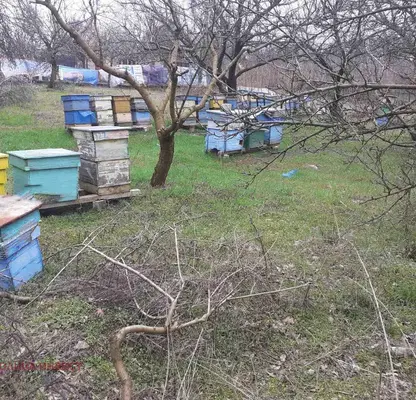 Снимка 5 — Къща в Русе, в.з. 9-ти километър