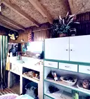 Къща в Русе, в.з. Касева Чешма
