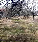 Къща в Русе, в.з. Левента