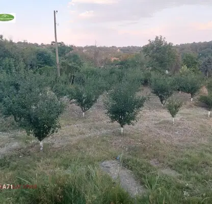 Снимка 5 — Къща в Русе, в.з. Левента