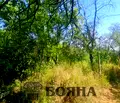 Снимка 2 — Къща в Русе, в.з. Русофили