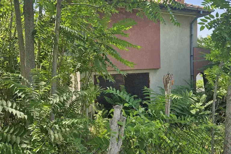 House in Ruse, Rusofili