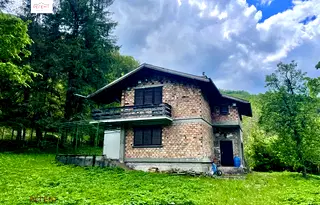 Къща в Габрово, Ябълка