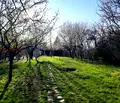 Снимка 3 — Къща в Ловеч, Здравец
