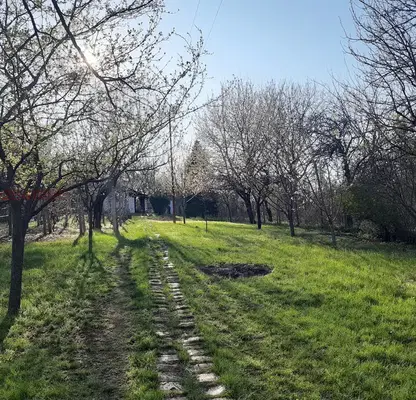 Снимка 3 — Къща с голям двор в кв. Здравец, Ловеч