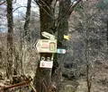 Снимка 3 — Къща в Благоевград, Банско