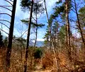 Снимка 4 — Къща в Благоевград, Банско
