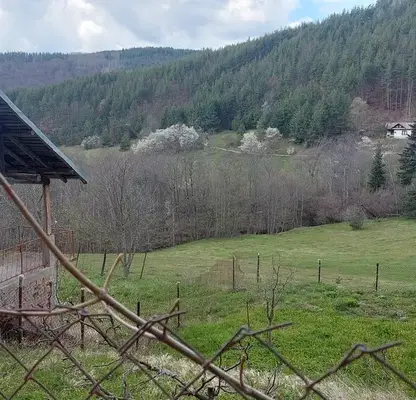 Photo 4 — Villa with 1 room and terrace in Belitsa with mountain view