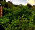 Снимка 4 — Къща в Благоевград, с. Елешница