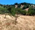 Снимка 4 — Къща в Благоевград, с. Каменица