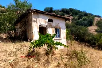 Къща в Благоевград, с. Каменица