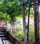 Къща в Благоевград, с. Кърналово