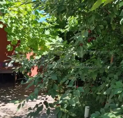 Photo 5 — House in Oblast Burgas, Sozopol