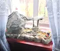 Снимка 4 — Къща в Бургас, с. Изгрев