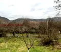 Снимка 4 — Къща в Бургас, с. Кости