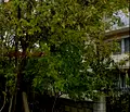 Снимка 5 — Къща в Добрич, Каварна