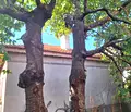 Снимка 4 — Къща в Добрич, Каварна