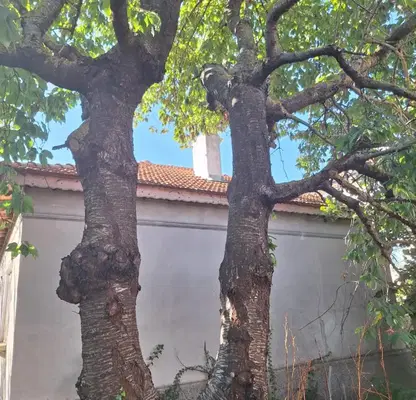 Photo 4 — House in Oblast Dobrich, Kavarna