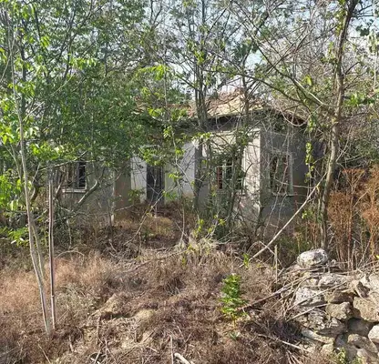 Снимка 2 — Къща с 3 стаи в с. Ал. Стамболийски, област Добрич с голям двор