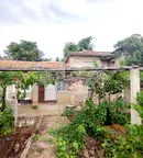 Къща в Добрич, с. Бдинци