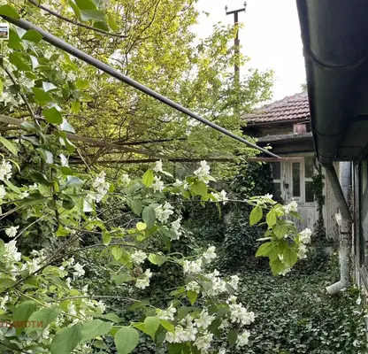 Photo 5 — House in Oblast Dobrich, Bylgarevo