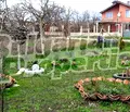 Снимка 5 — Къща в Добрич, с. Царичино